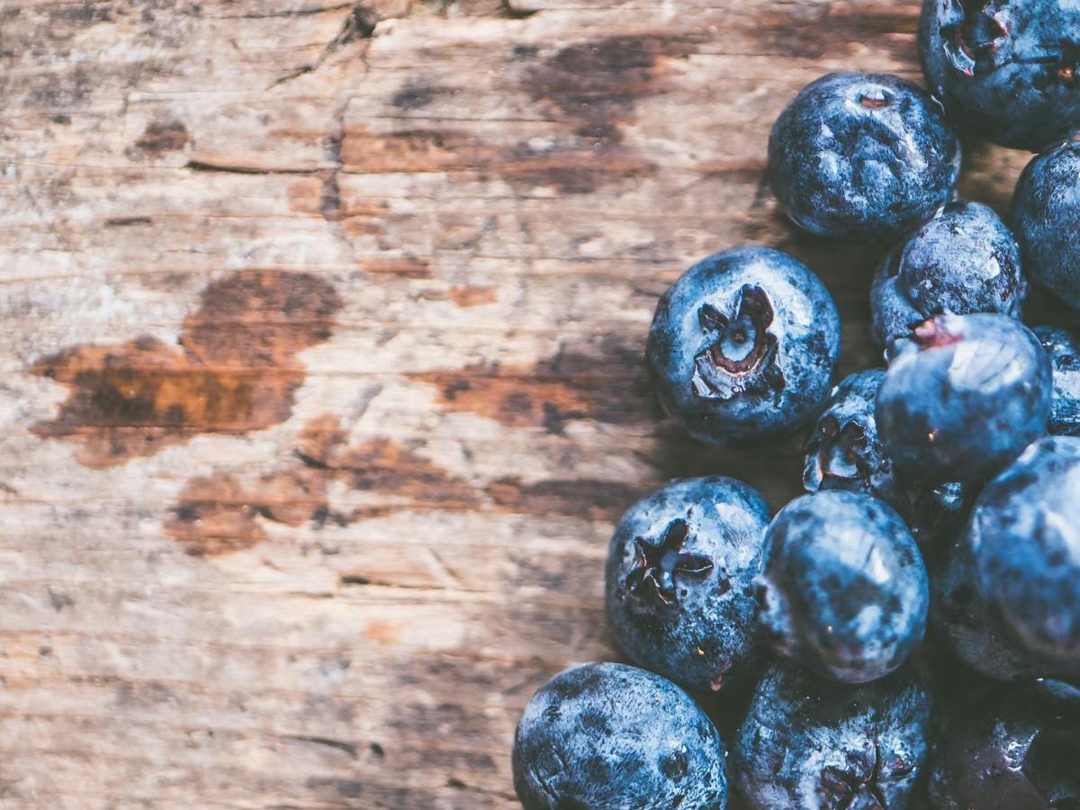 High protein, low sugar mini baked blueberry&nbsp;cheesecakes